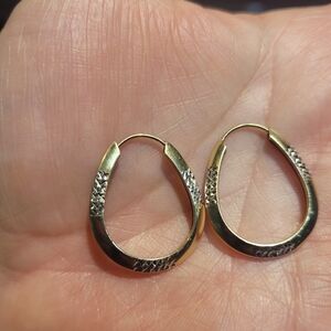 Elegant Gold and Silver Hoop Earrings